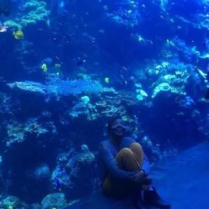 Meet your Posher, Sarah